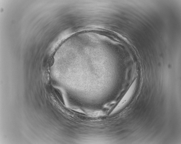 X0000056321363200509092252