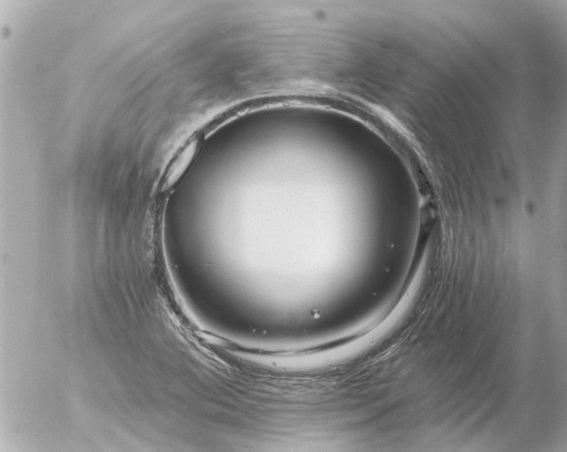 X0000056321364200509092252