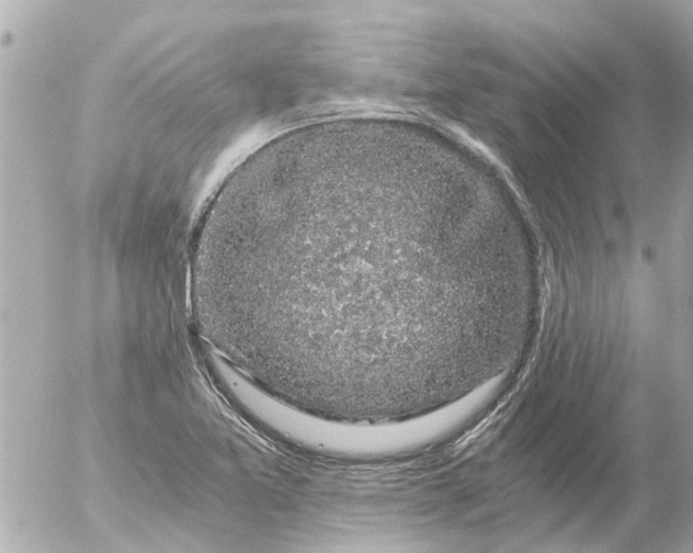 X0000056321365200509092252