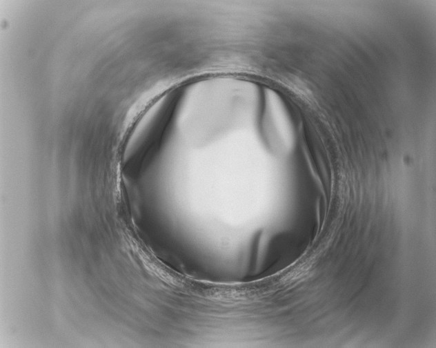 X0000056321366200509092252