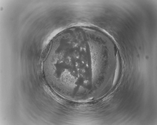 X0000056321367200509092252