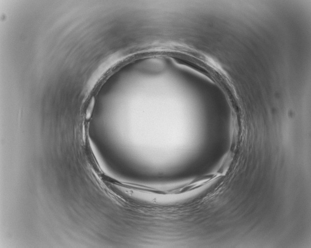 X0000056321368200509092252