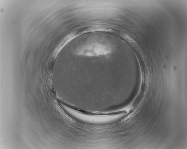 X0000056321369200509092252