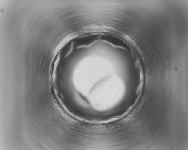 X0000056321370200509092252