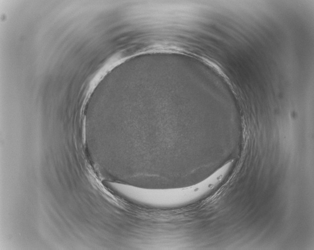 X0000056321371200509092252