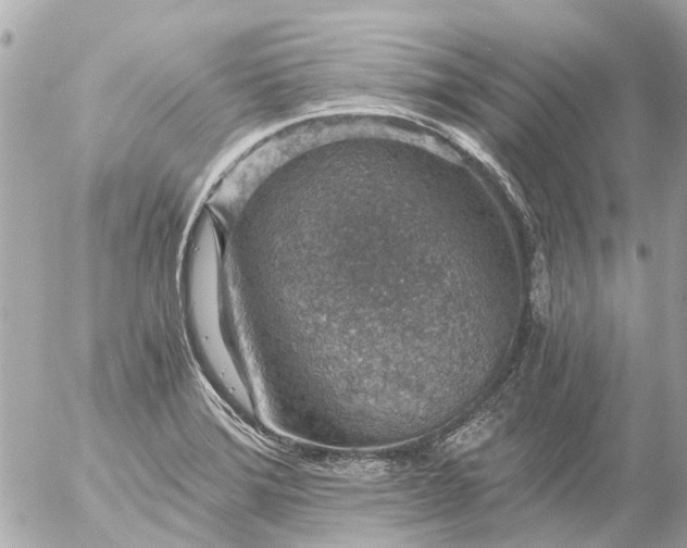 X0000056321372200509092252