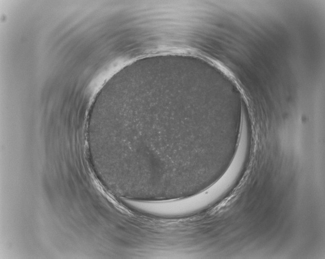 X0000056321373200509092252