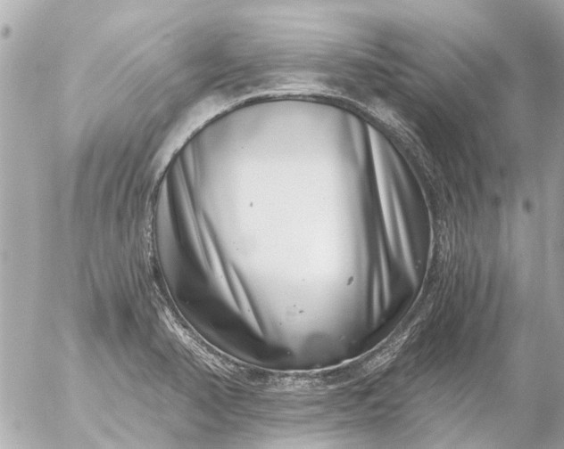 X0000056321374200509092251