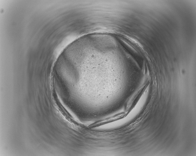 X0000056321375200509092251