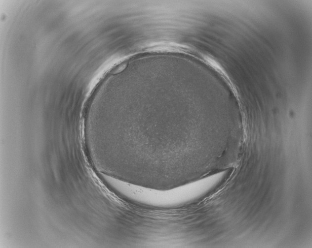 X0000056321376200509092251