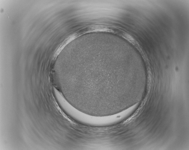 X0000056321377200509092251