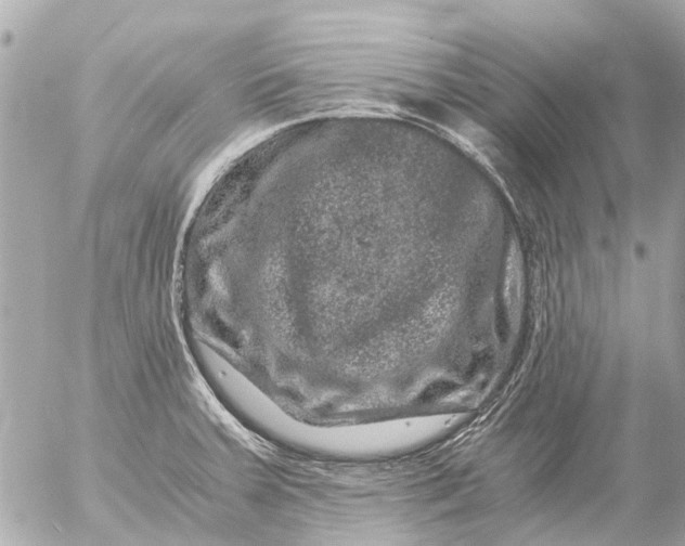 X0000056321379200509092251