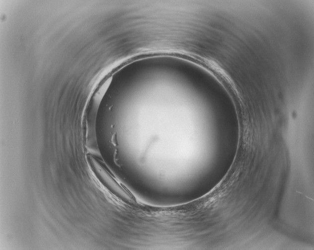 X0000056321380200509092251