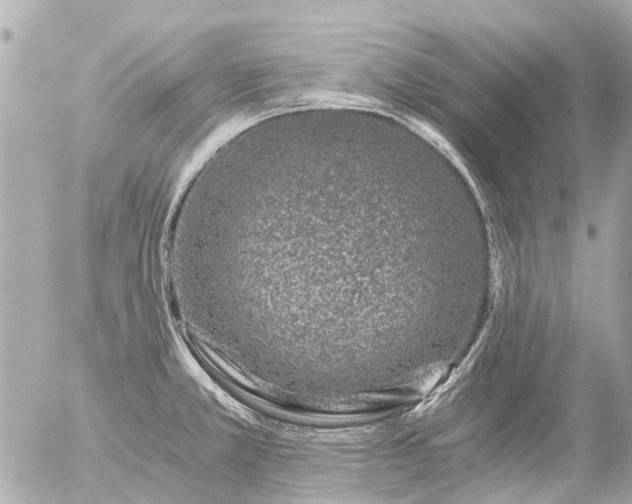 X0000056321381200509092251