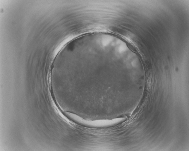 X0000056321383200509092251