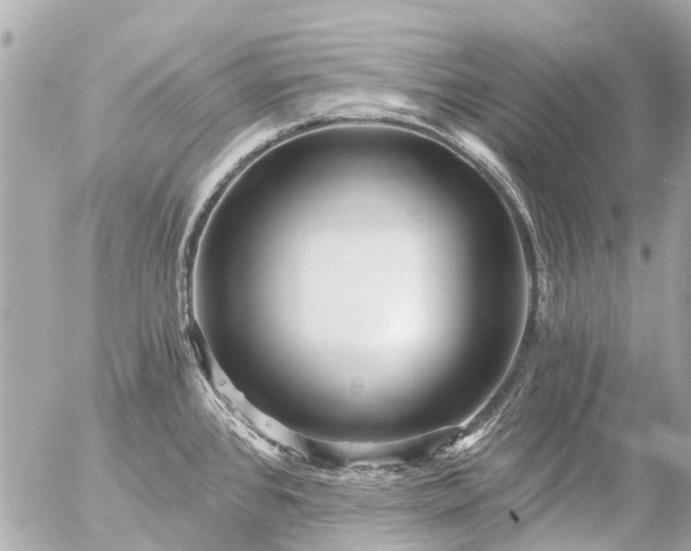 X0000056321384200509092251