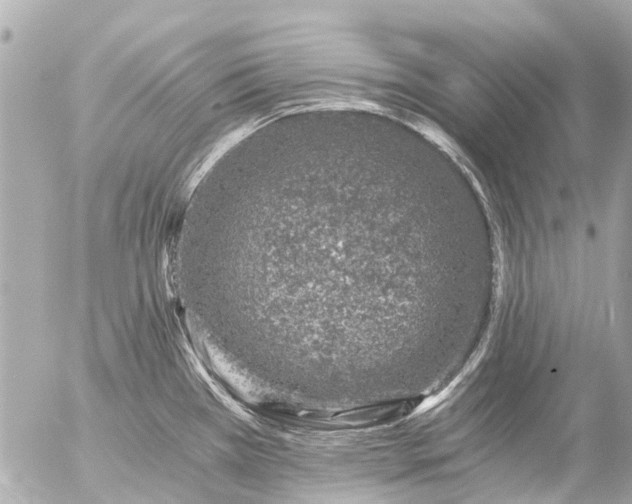 X0000056321385200509092251