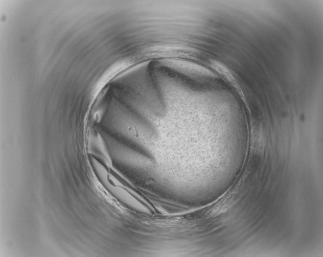 X0000056321386200509092251