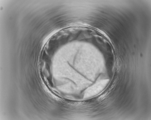 X0000056321387200509092251