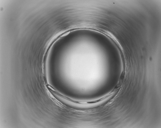 X0000056321388200509092251