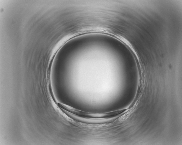 X0000056321389200509092251