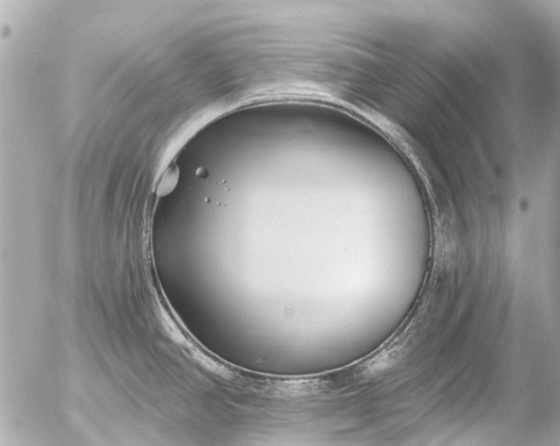 X0000056321390200509092251