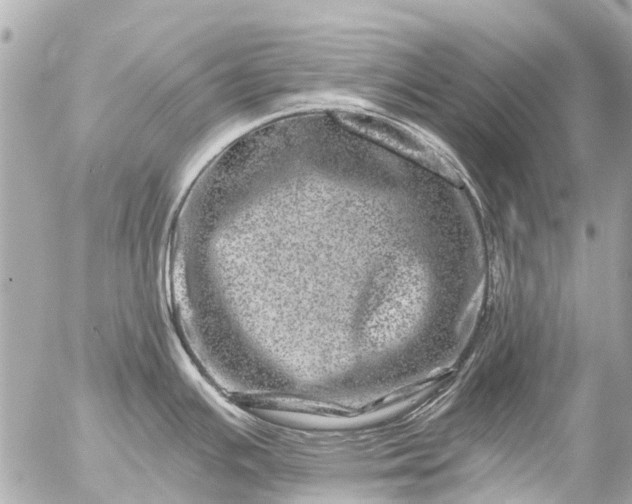 X0000056321391200509092251