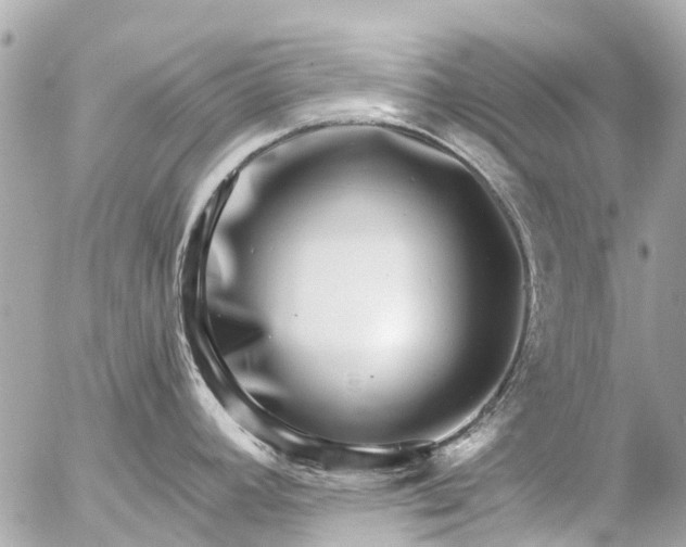 X0000056321392200509092251