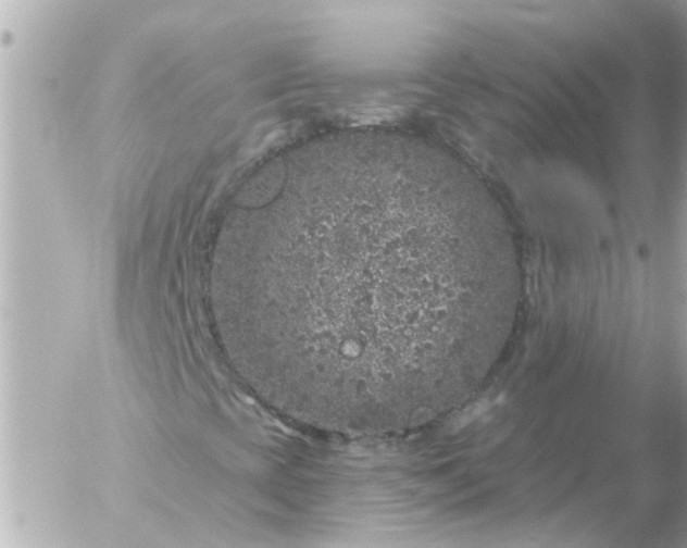 X0000056321393200509092250