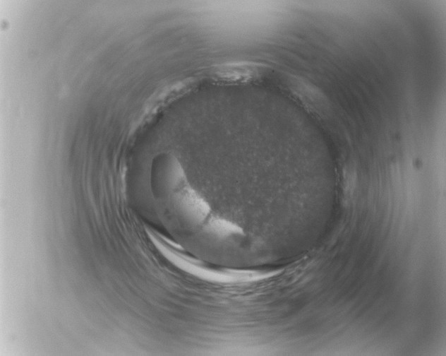 X0000056321394200509092250