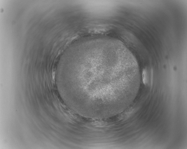 X0000056321395200509092250