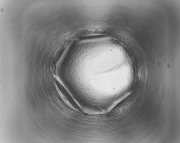 X0000056321396200509092250