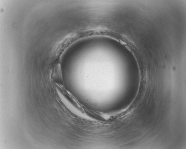 X0000056321398200509092251