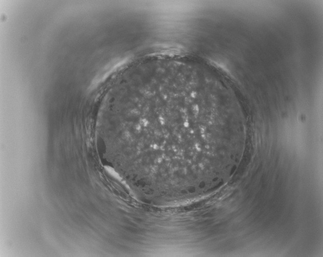 X0000056321399200509092251