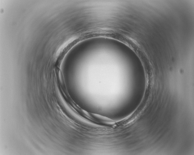 X0000056321402200509092251