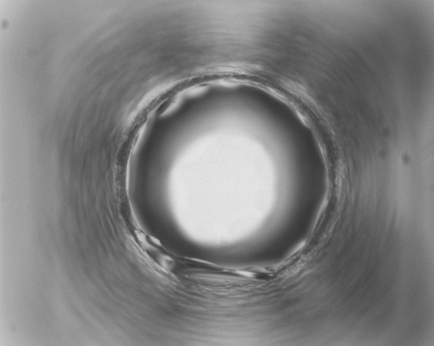 X0000056321404200509092251