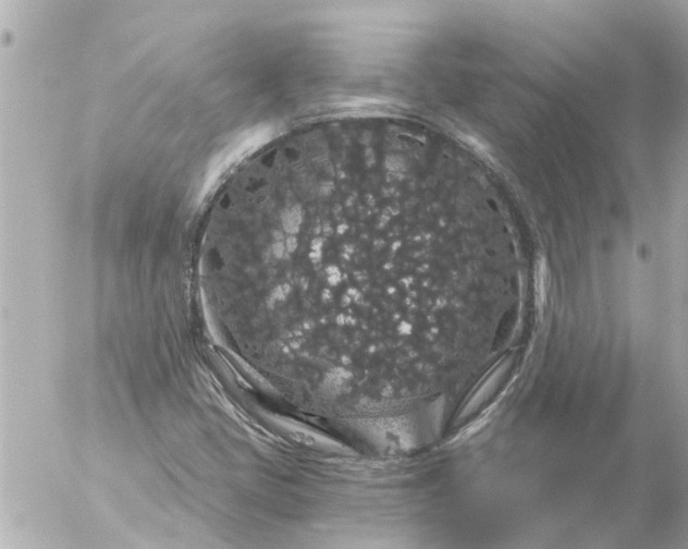 X0000056321405200509092251