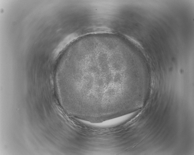 X0000056321407200509092251