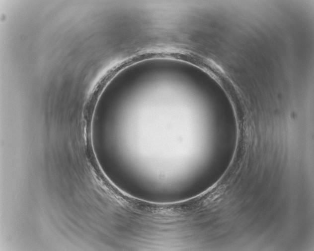 X0000056321408200509092251