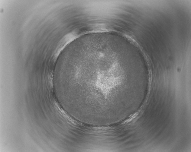 X0000056321409200509092251