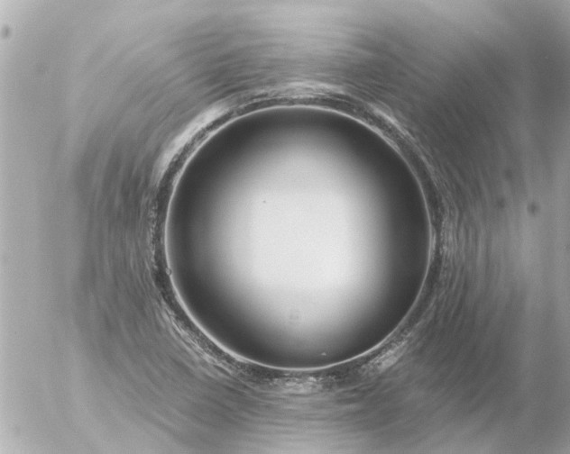 X0000056321410200509092251