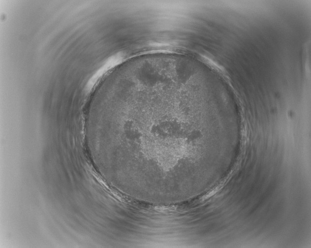 X0000056321411200509092251