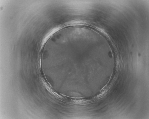 X0000056321413200509092251