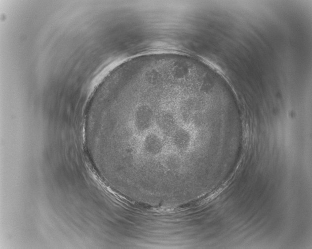 X0000056321415200509092251