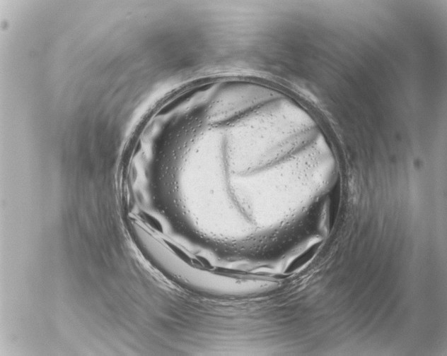 X0000056321416200509092251