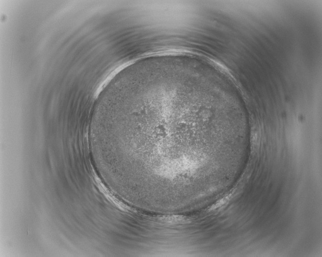 X0000056321417200509092251