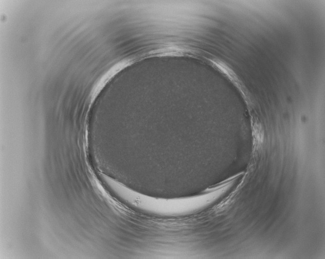 X0000056321418200509092251