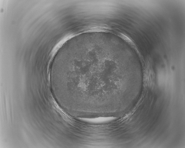 X0000056321419200509092251