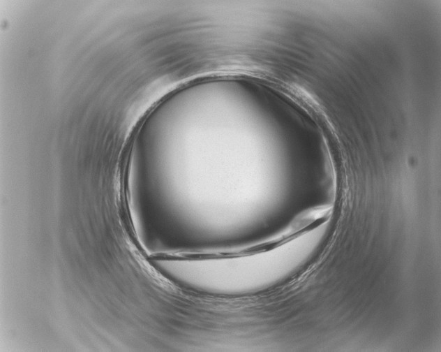 X0000056321420200509092251