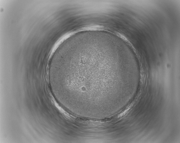 X0000056321421200509092251